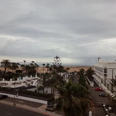 Aguacates Playa del Ingles (Gran Canaria)